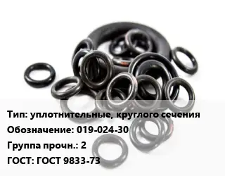 Кольцо РТИ уплотнительные, круглого сечения 019-024-30 Прочность:2 ГОСТ: ГОСТ 9833-73